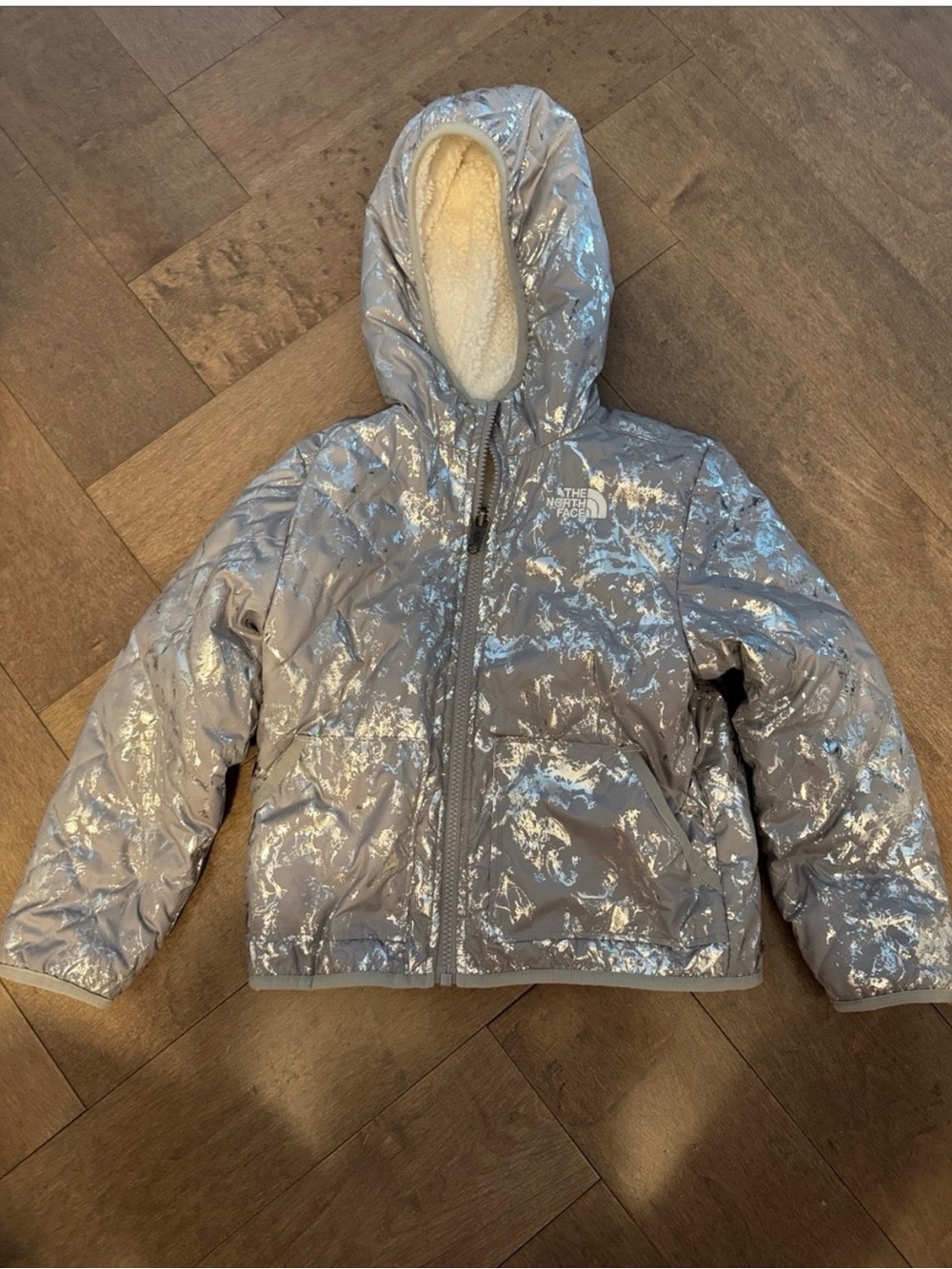 The North Face Kids Silver Shimmer Puffer Jacket with Hood